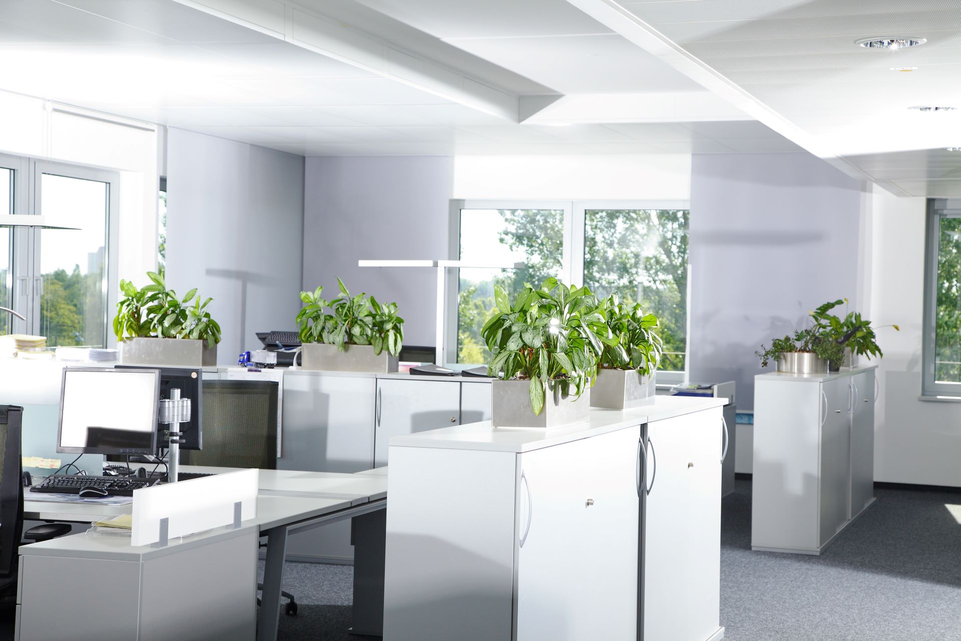 Resume Writing Services Mangere East NZ